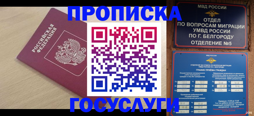 прописка законно в Вытегре